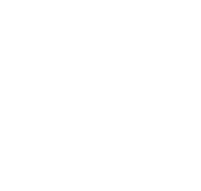 PLANIGY