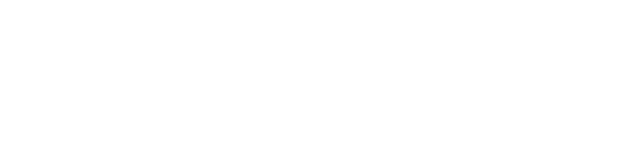EUROMÉTROPOLE DE STRASBOURG